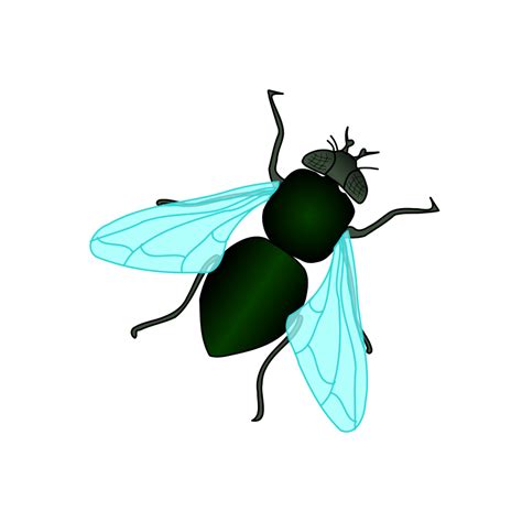Collection Of Fly Png Pluspng