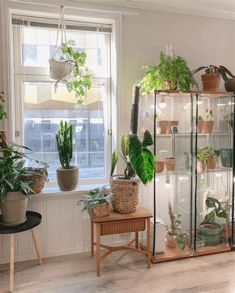 Want To Turn Your Favorite Ikea Cabinet Into A Mini Greenhouse These
