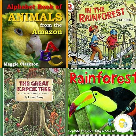 18 Amazing Rainforest Animals Books For Preschoolers