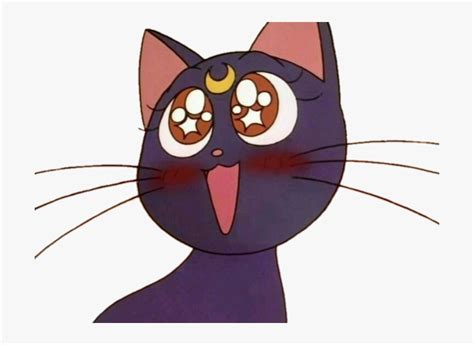 Luna Sailor Moon Cat Png 845702
