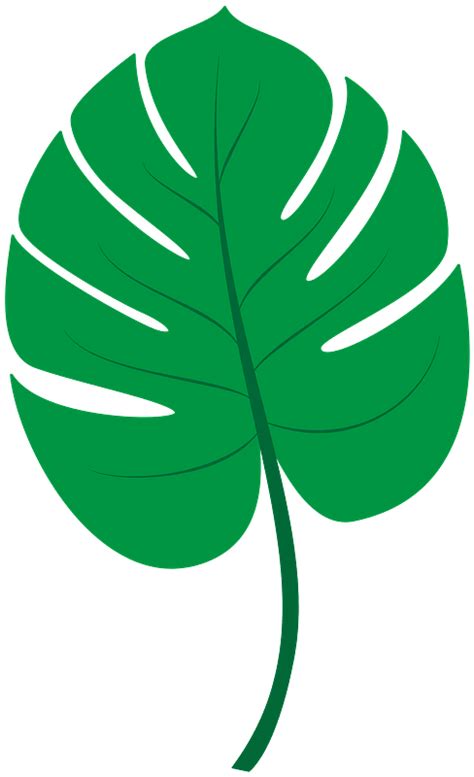 Tropical Plant Leaf Clip Art