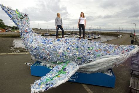 A Whale Made Of Plastic Lies Stranded On Musselburgh Beach Picture
