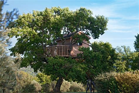 These Spectacular Tree Houses Redefine Small Space Living Photos