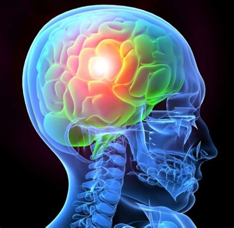 Tbi Basics What You Need To Know About Brain Injury Brainline