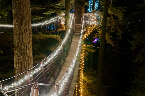Canyon Lights Capilano Suspension Bridge Photo Essay Vancouver Homes