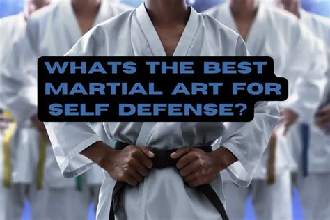 Whats The Best Martial Arts For Self Defense Ranked With Infographic