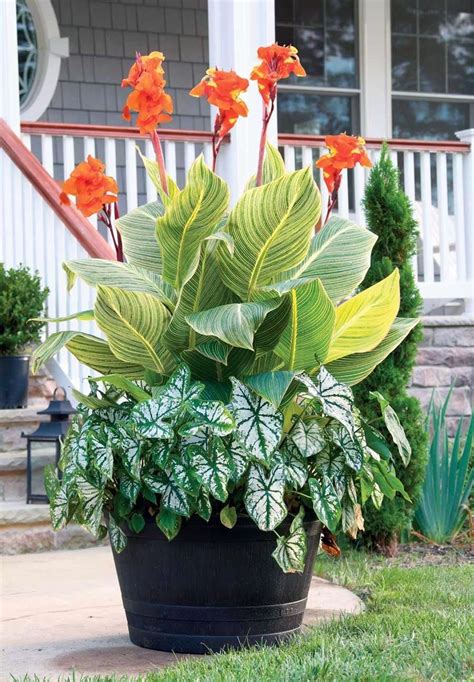 Stunning Container Vegetable Garden Design Ideas And Tips