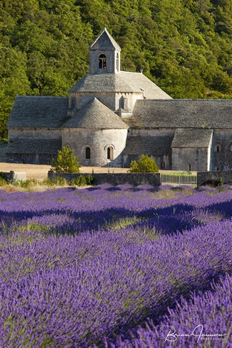 France Lavender Fields Of Provence Photo Workshop