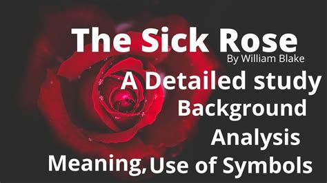 The Sick Rose By William Blake Class Xi Wbchse Meaning And Analysis Youtube