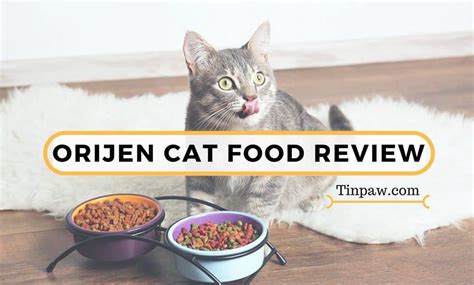 Saran saya dari pribadi pemberian cat food ini agar bisa di mix dgn label lain agar dapat asupan yg. Orijen Cat Food Review: What You Need To Know About the ...
