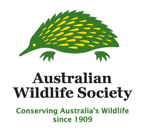 Australian Wildlife Society Movements Throughout History Australian