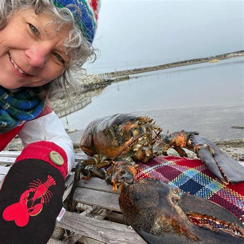 Shell Abrate The Annual Nova Scotia Lobster Crawl Event — Modern