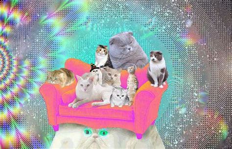 Trippy Tye Dyed Felines Trippy Cat Cats Crazy Cats