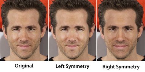 Face Symmetry Of Celebrities Face Symmetry Celebrity Faces Face
