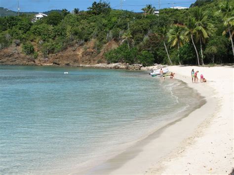 love it review of honeymoon beach st thomas u s virgin islands tripadvisor