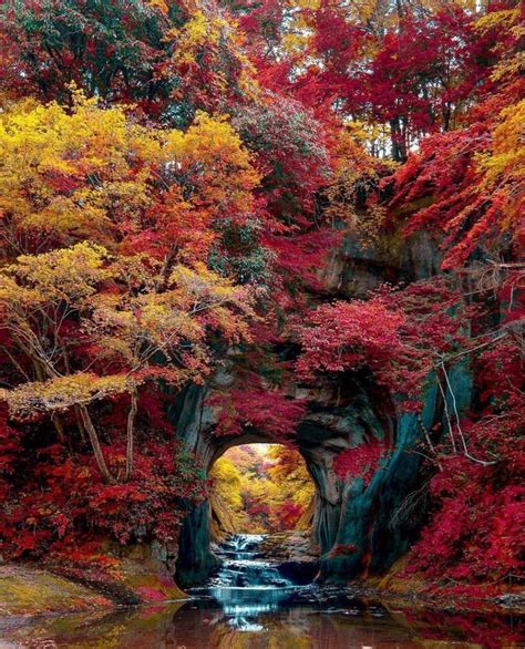 Chiba Japan Fall Pictures Nature Pictures Amazing Pictures Amazing