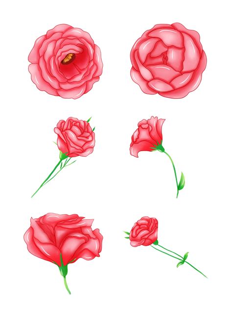 Drawing Of A Rose Png Photos Png Play