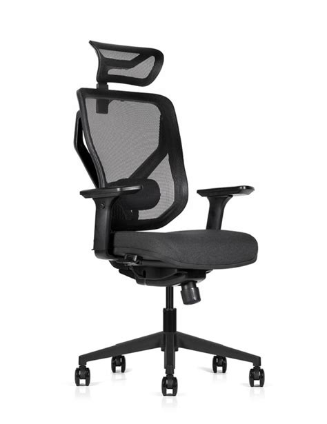 Adapt 660 Ergonomic Chair Online Ergonomics