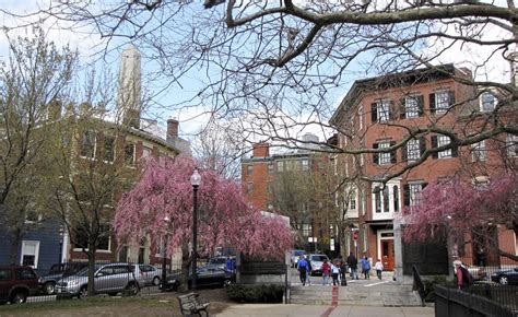 Guia De Boston Dicas Para Aproveitar O Melhor Da Cidade Sundaycooks