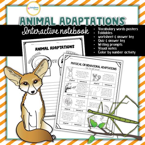 Animal Adaptations Interactive Notebook Animal Adaptations