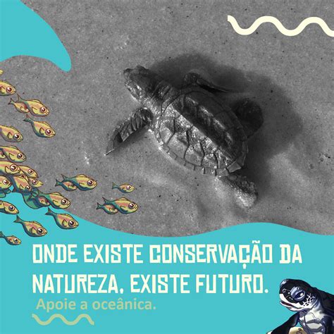 Campanha Abrace A Oce Nica Cuide Do Mar On Behance