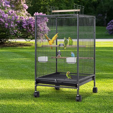 Williston Forge 35 Inch Wrought Iron Bird Cage With Play Open Top And