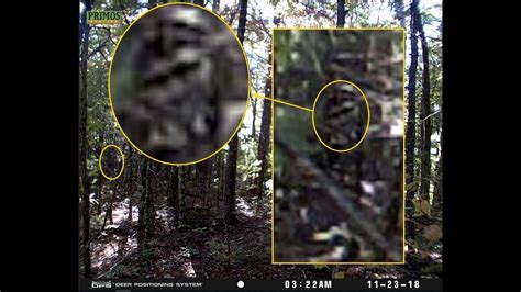 Bigfoot Captured On Trail Camera October 2018 Youtube