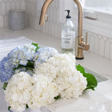 Our kitchen faucets embody performance, luxury, and detail. Part One: Kitchen Reveal with Delta Faucet Canada | Delta ...