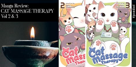 manga review cat massage therapy vol 2 and 3 by haru hisakawa 2022 jo writes fantasy