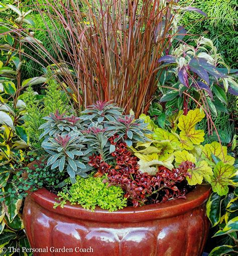 A Bold Color Combination For A Fall And Winter Container Design