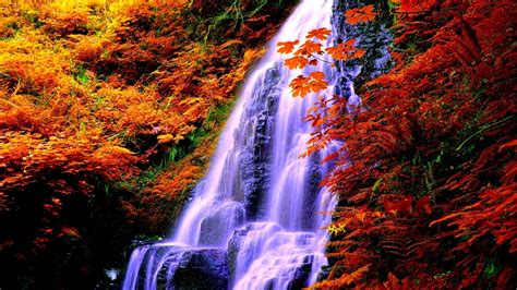Fall Rocks Plants Waterfall Branches Autumn Foliage Hd Wallpaper
