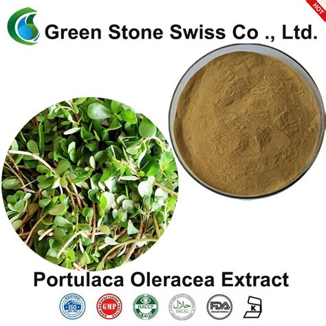 Purslane Extract Pricessales Buy Portulaca Oleracea Extract
