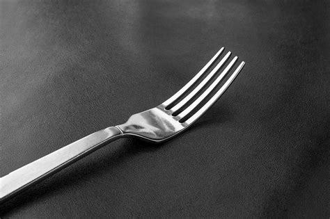 24 Types Of Forks And Their Uses With Pictures Homenish