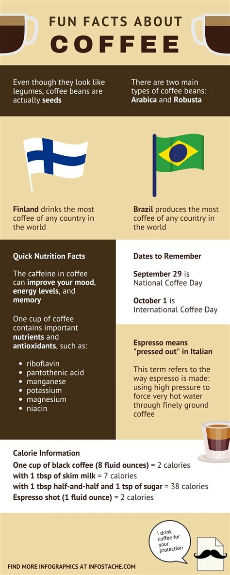 Fun Facts About Coffee [Infographic] - Infostache