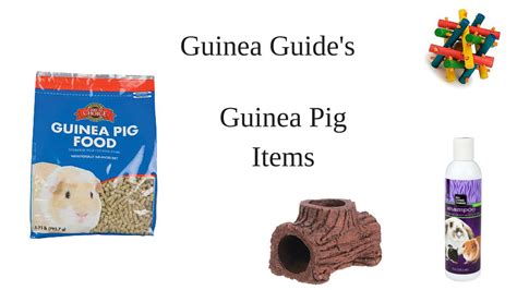 My Guinea Pig Items I Have So Far Youtube