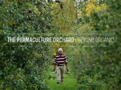 Miracle Farms A 5 Acre Commercial Permaculture Or Tumbex