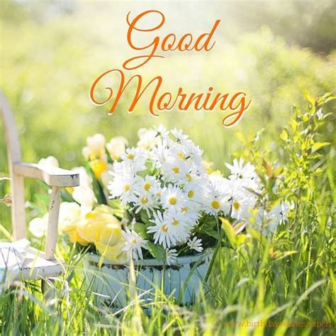 829+ {sunday} good morning images quotes pics wishes in hindi. 60 Beautiful Flower Images with Inspiring Good Morning Quotes