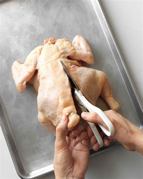 how to spatchcock a chicken martha stewart