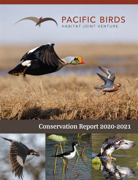Pacific Birds Conservation Report 2020 2021 Pacific Birds Habitat