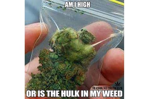 Funny Weed Memes