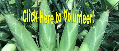 Healthy Harvest Food Bank Your Local Farm To Food Bank