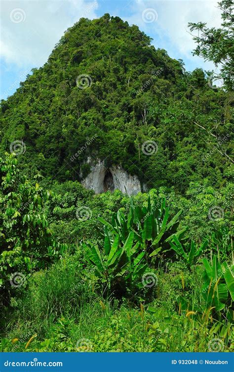 Cueva Del Bosque En La Montaña Krabi Tailandia Fotos De Archivo
