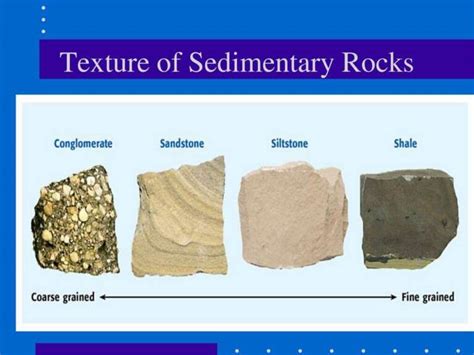 Texture And Structure Of Sedimentary Rocks Forestry Bloq