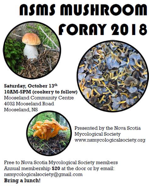 NS Mycological Society Mushroom Foray - OTTER PONDS DEMONSTRATION FOREST