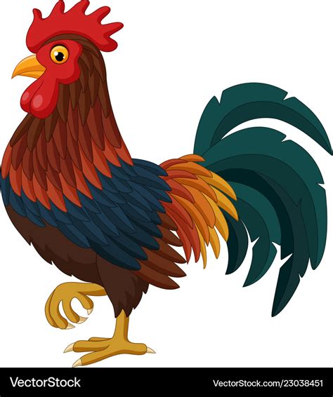 Cartoon Rooster Isolated On White Background Vector Image