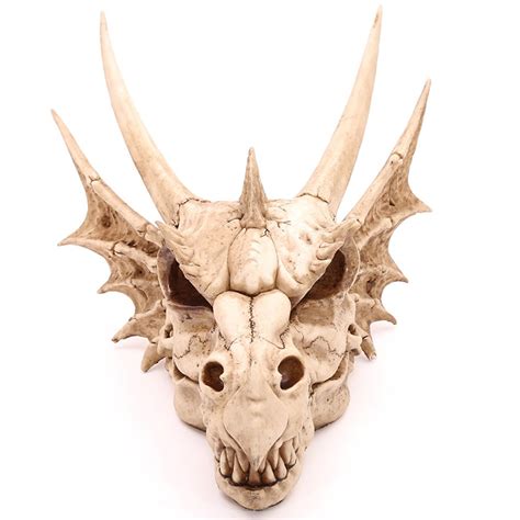 Large Dragon Skull Decoration Drg390