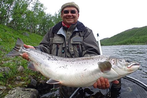 Atlantic Salmon Fishing Season Unique Fish Photo