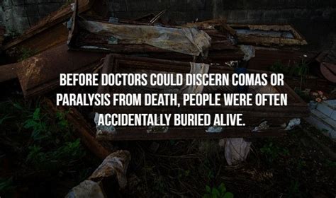 22 Disturbing Facts That Will Leave You Creeped Out Creepy Gallery