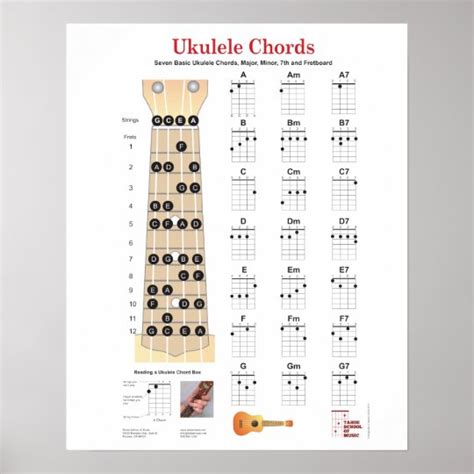 Ukulele Chords Finger Charts Fretboard With Notes Poster Uk