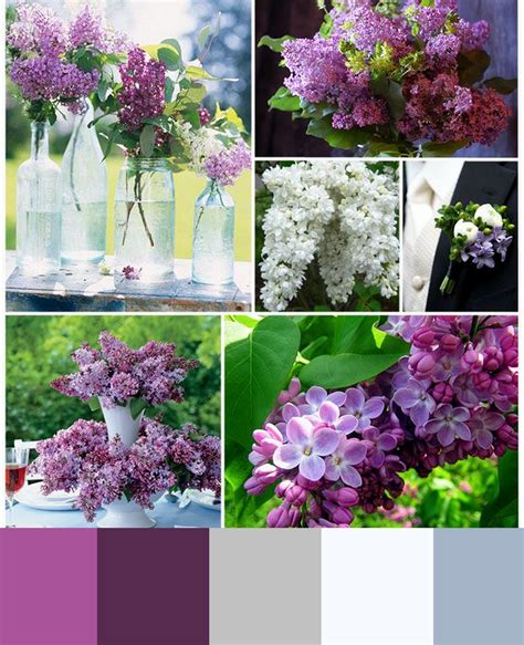 One of our favourite purple wedding flowers. Wedding color palette, wedding colors, wedding themes